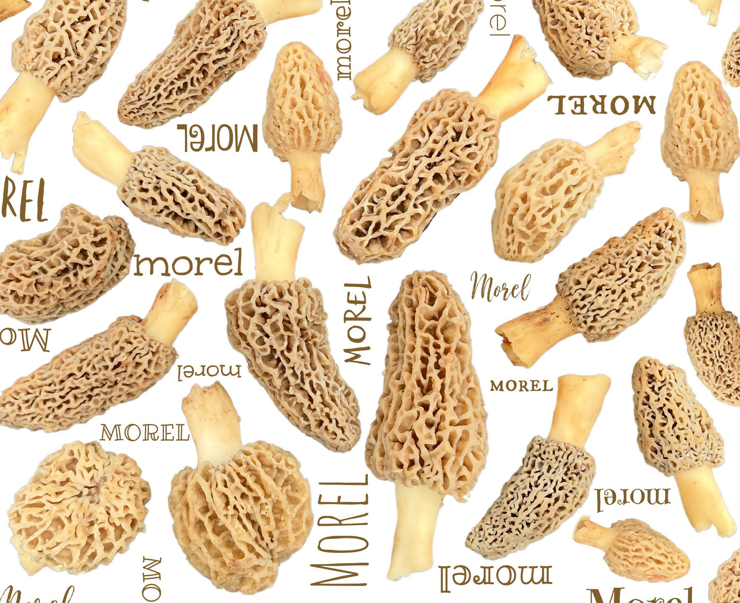Morel mushrooms on white fabric- 100% Cotton -