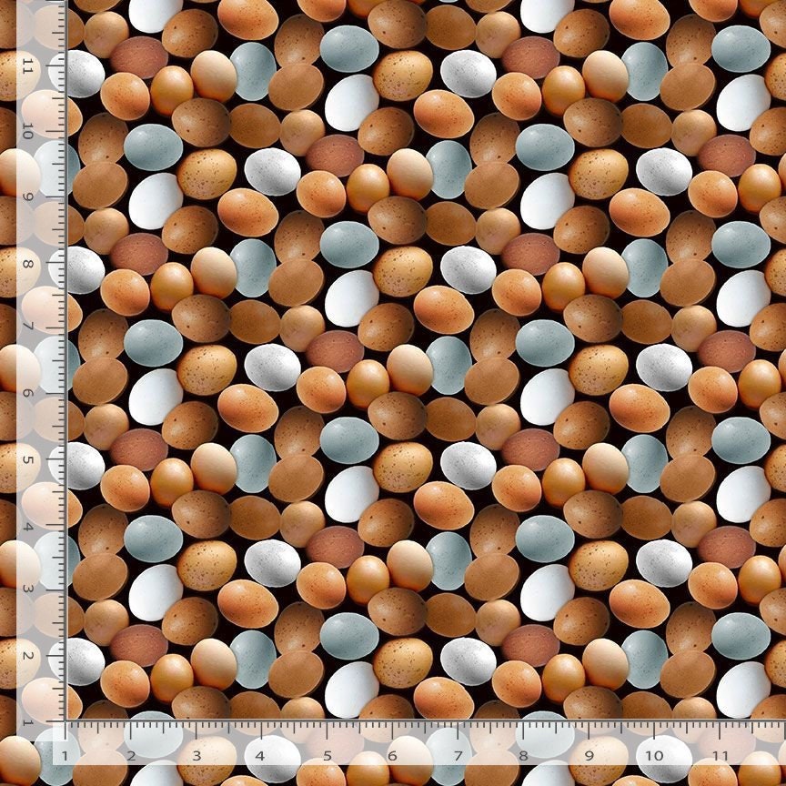 Farm Black Eggs Timeless Treasures - 100% Cotton - CD-2744