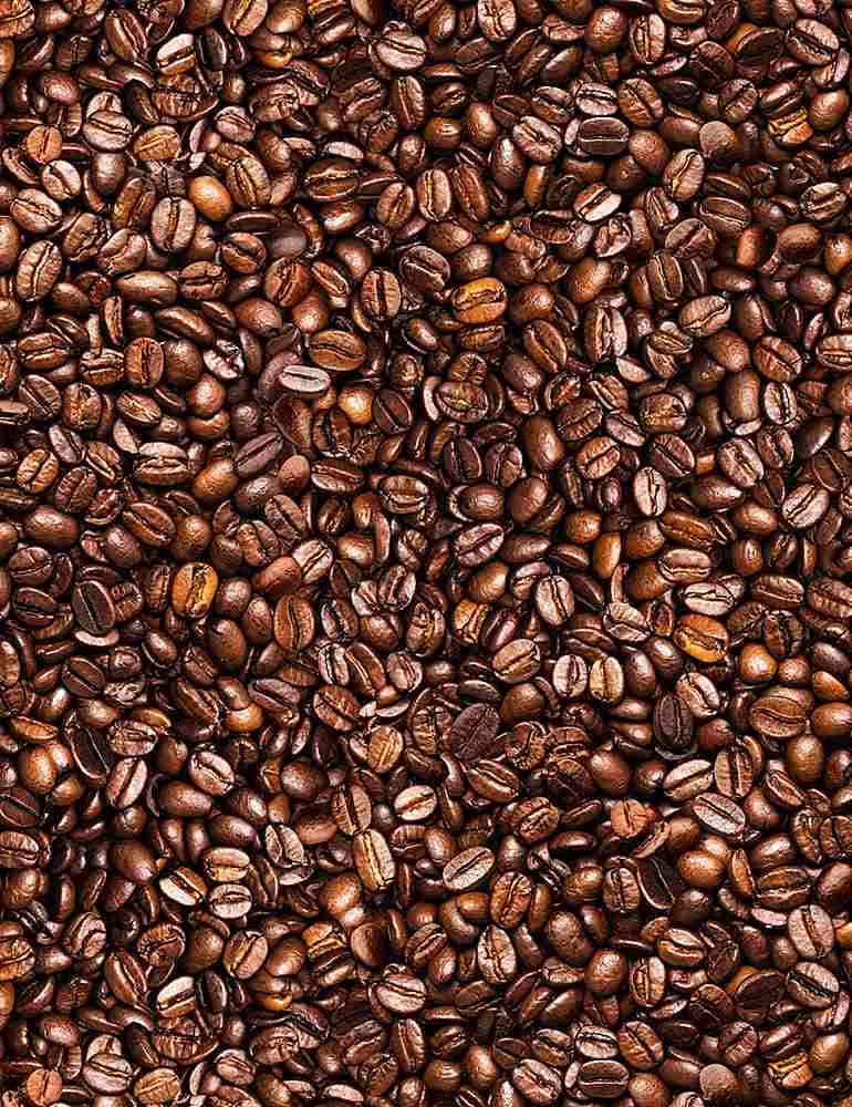 Packed Coffee Beans Fabric - 100% Cotton - Timeless Treasures TT-Coffee CD8958