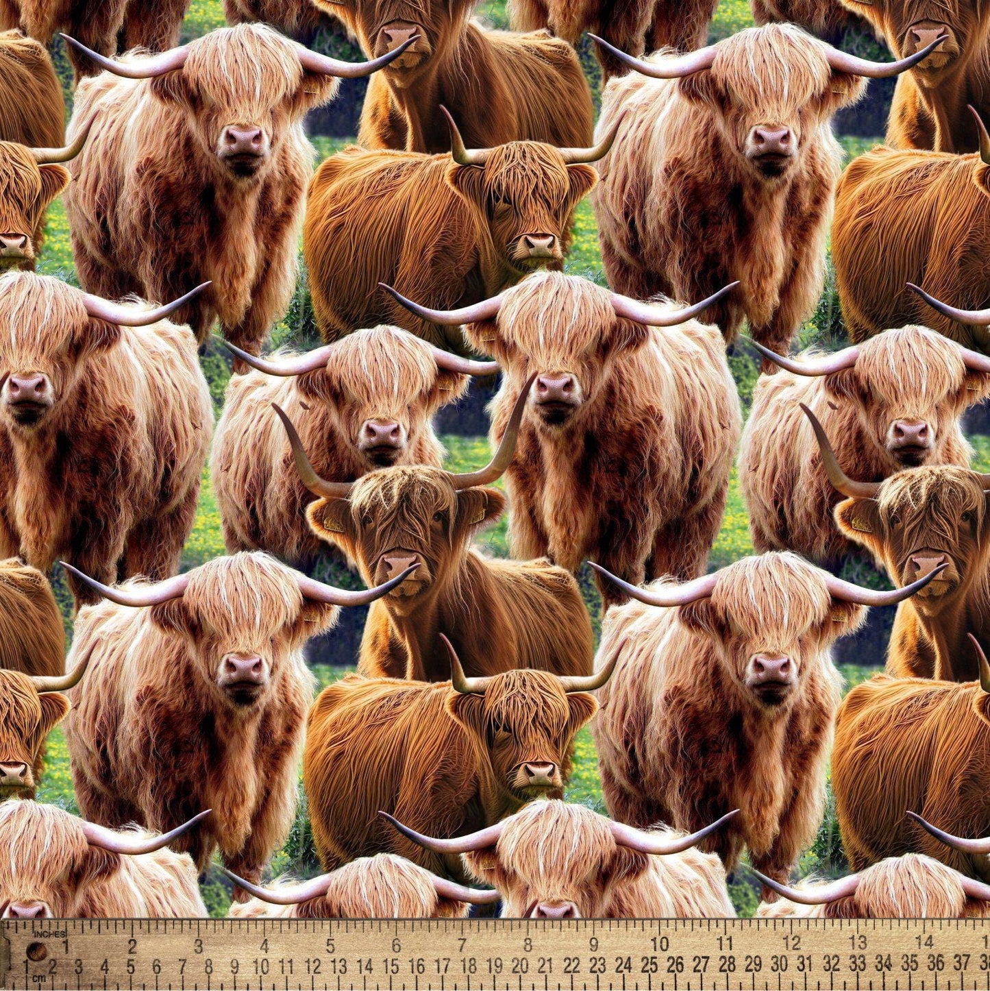 Highland Cows Fabric David Textiles 100% Cotton - Fabric- continuous cuts