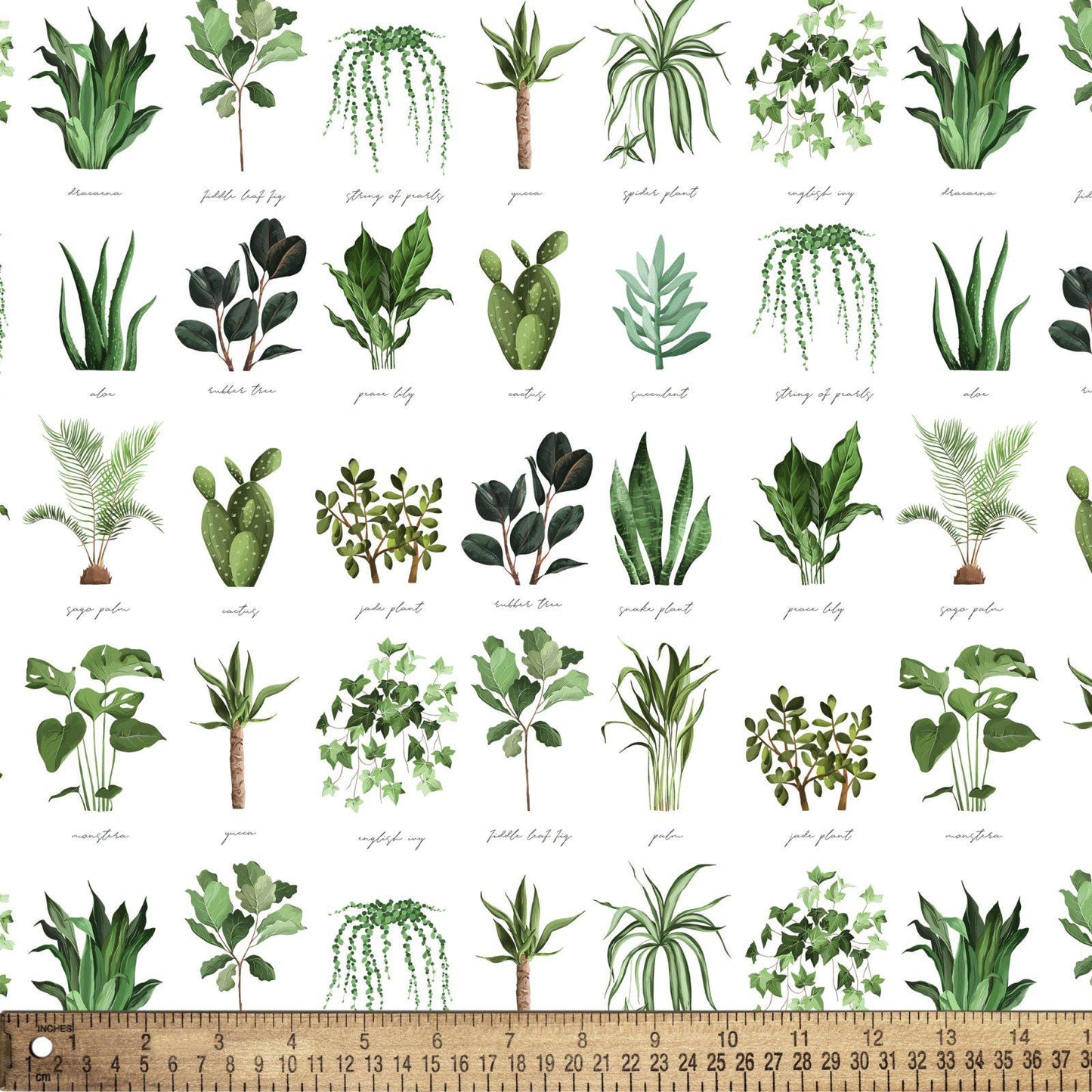 Plant Names Cotton Fabric - 100% Cotton - Continuous cuts DX-4445-4C-1 Plant Names