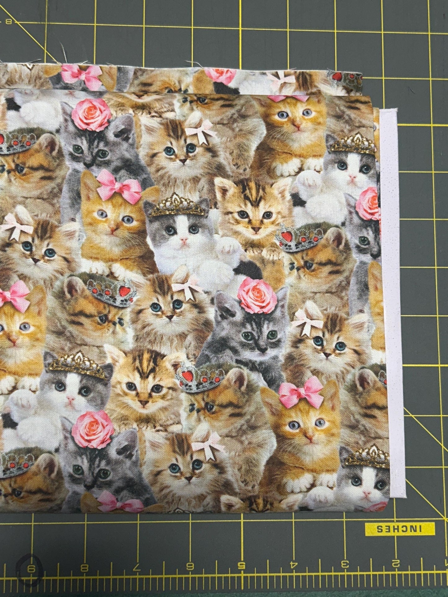 Packed Princess Kitty Cotton Fabric 100% Cotton - Fabric - continuous cuts TT-Cat CD3579 Natural