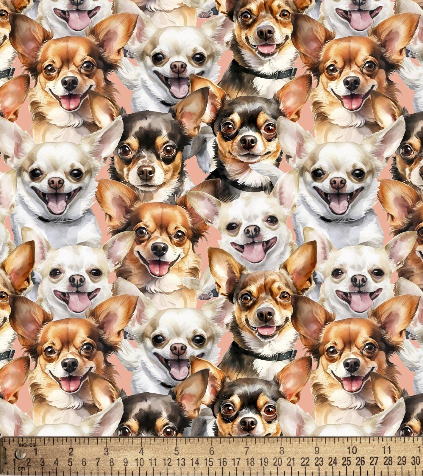 Chihauhuas Dog Fabric 100% Cotton fabric- continuous cuts- David Textiles DX-4811