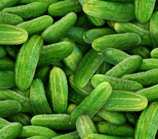 Cucumber Fabric - 100% Cotton - Continuous cuts Pickles Pickle
