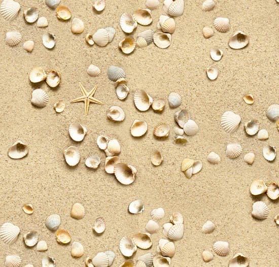Sea Shells - 100% Cotton - ES-Landscape Medley 555 Sand Cockle Shells