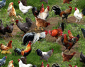 Farm Animals 354 Green Grass & Chickens Cotton fabric-Continuous cuts- fat quarters- Elizabeth Studios