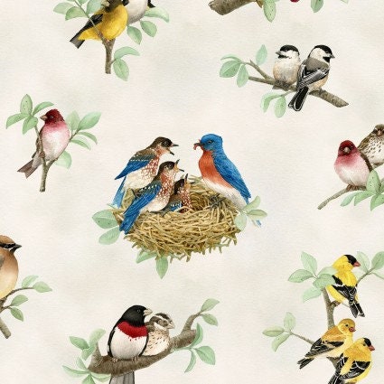 Beautiful Birds Cotton Fabric 100% Cotton - Fabric Material