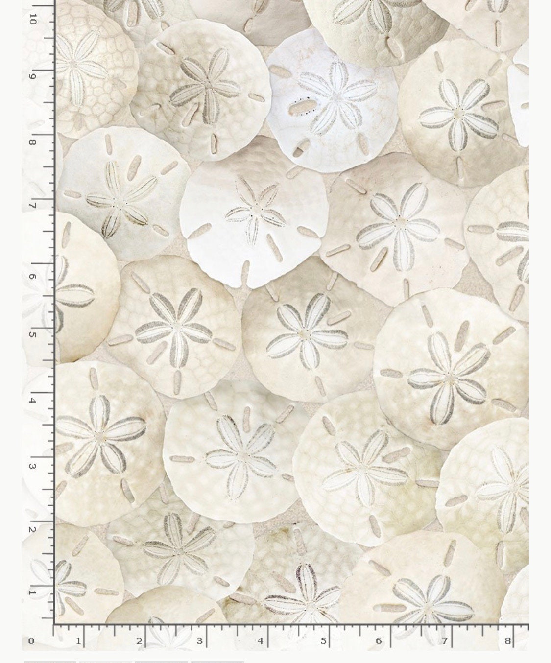 BEACH C8461 SAND PACKED Sand Dollars - Timeless Treasures Fat Quarter - 100% Cotton -
