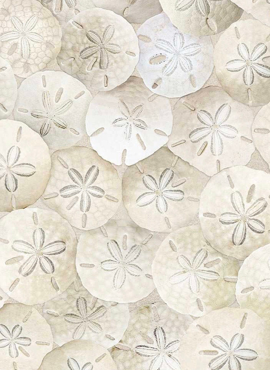 BEACH C8461 SAND PACKED Sand Dollars - Timeless Treasures Fat Quarter - 100% Cotton -