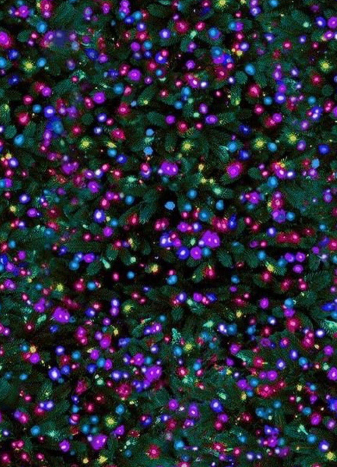 Christmas Tree Cotton Fabric- TT-Holiday CD2011 Multi - Aurora Borealis X-Mas Lights Cotton Fabric- 100% Cotton -