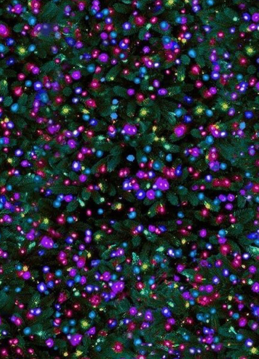 Christmas Tree Cotton Fabric- TT-Holiday CD2011 Multi - Aurora Borealis X-Mas Lights Cotton Fabric- 100% Cotton -