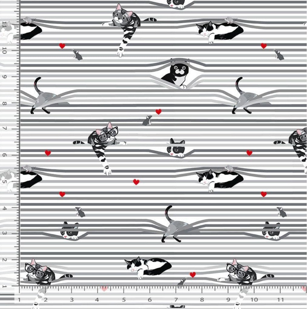 Peekaboo Shade Cats Cotton Fabric - 100% Cotton- Continuous CutsTimeless Treasures CAT CD3020