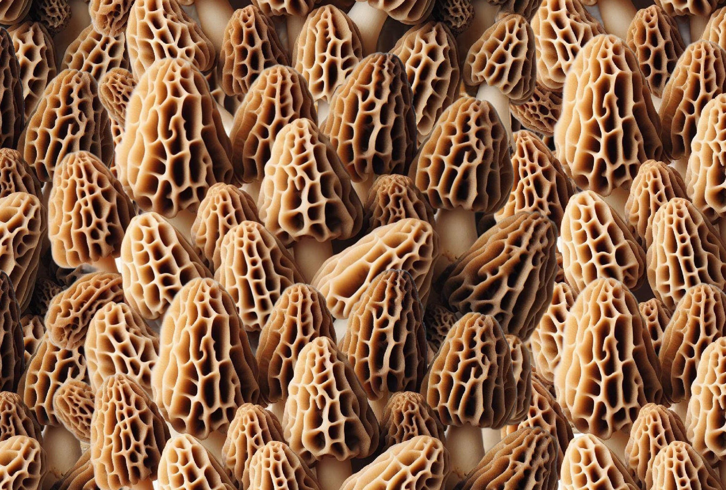 Packed Morel mushrooms Cotton Fabric- Continuous Cuts -100% Cotton -
