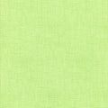Spring Gnomes Coordinating Mint Green Cotton Fabric - 100% Cotton - Timeless Treasures CD2700 Mint