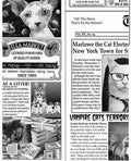 Newspaper Cats Cotton Fabric - 100% Cotton- Continuous Cuts -Timeless Treasures CAT-CD6705