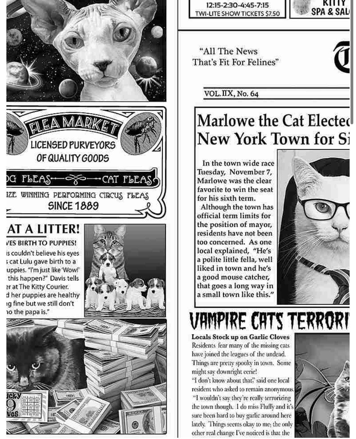 Newspaper Cats Cotton Fabric - 100% Cotton- Continuous Cuts -Timeless Treasures CAT-CD6705