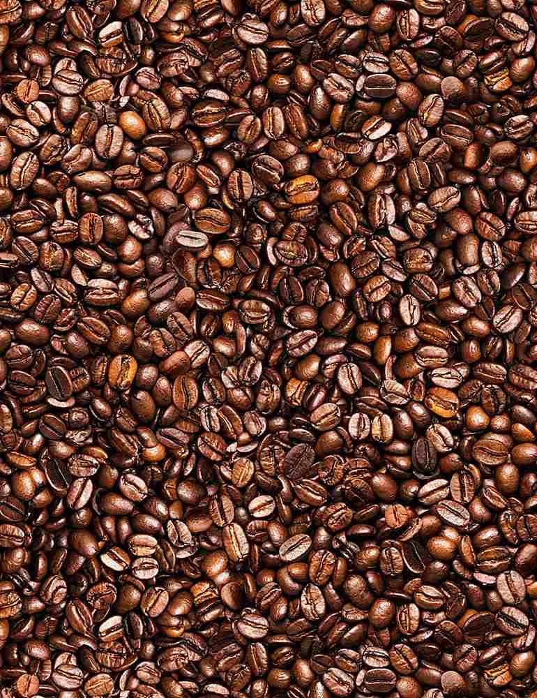 Packed Coffee Beans Fabric - 100% Cotton - Timeless Treasures TT-Coffee CD8958