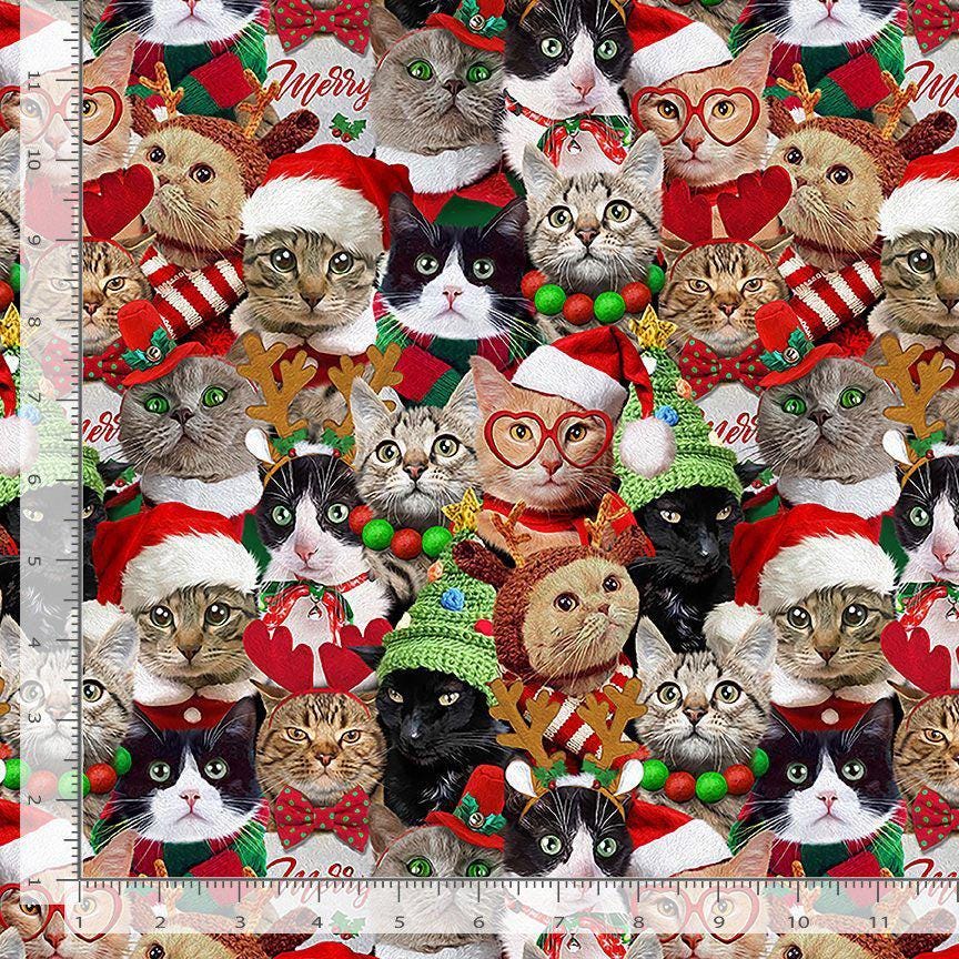 Packed Holiday Cats 100% Cotton-TT-Holiday CD3498 Holiday - Packed Holiday Cats