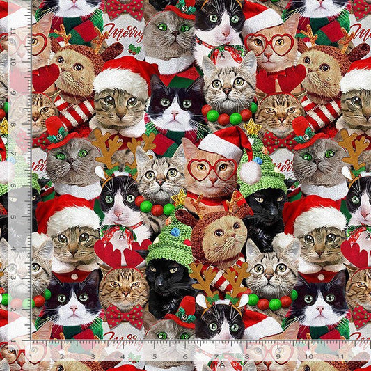 Packed Holiday Cats 100% Cotton-TT-Holiday CD3498 Holiday - Packed Holiday Cats