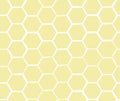 Yellow Honeycomb 100% Cotton Fabric by Springs Creative - Continuous Cuts - SC-Sunflower Garden 78757-H210715 Yellow - Honeycomb