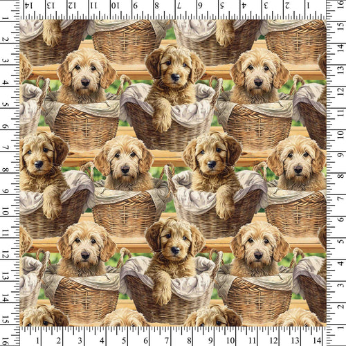 Baby Goldendoodles 100% Cotton fabric- continuous cuts- David Textiles DX-4284-3C-1 Multi - Baby Goldendoodles