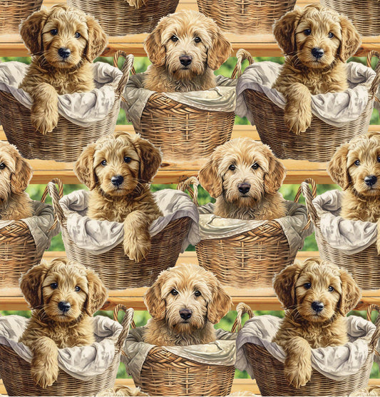 Baby Goldendoodles 100% Cotton fabric- continuous cuts- David Textiles DX-4284-3C-1 Multi - Baby Goldendoodles