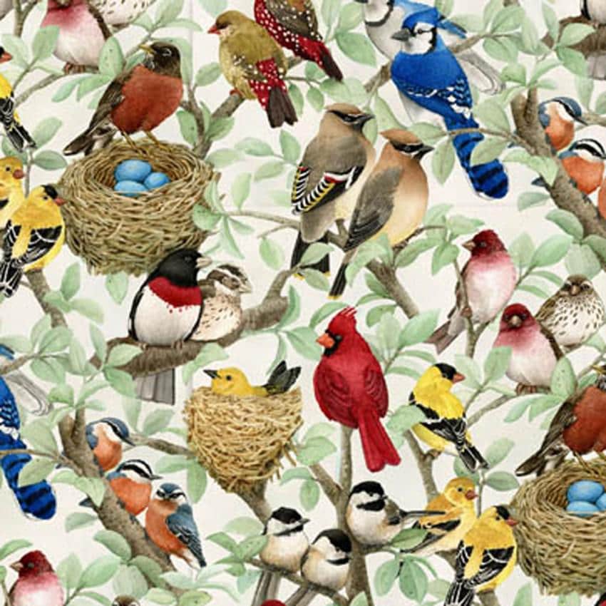 Beautiful Birds Cotton Fabric  - 100% Cotton - Fabric Material ELS4320-CRE