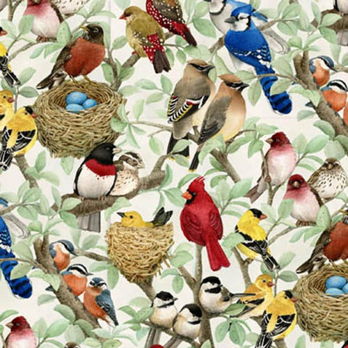 Beautiful Birds Cotton Fabric - 100% Cotton - Fabric Material ELS4320-CRE