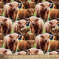 Highland Cows Fabric David Textiles 100% Cotton - Fabric- continuous cuts