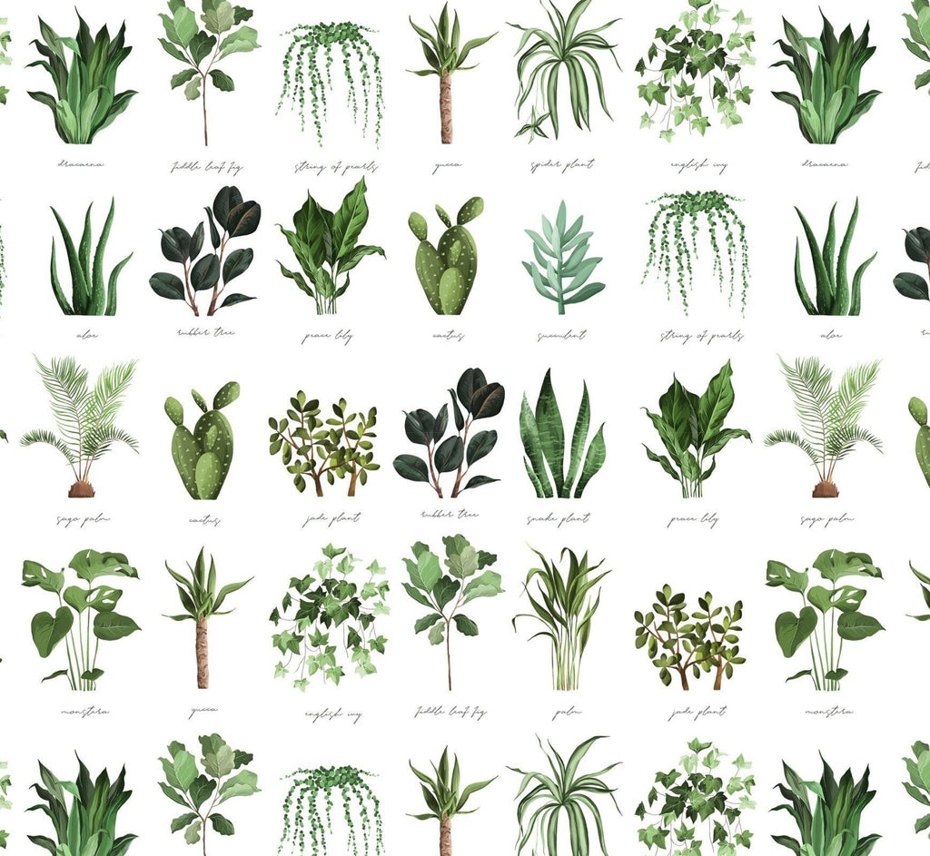 Plant Names Cotton Fabric - 100% Cotton - Continuous cuts DX-4445-4C-1 Plant Names