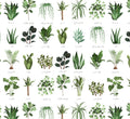 Plant Names Cotton Fabric - 100% Cotton - Continuous cuts DX-4445-4C-1 Plant Names