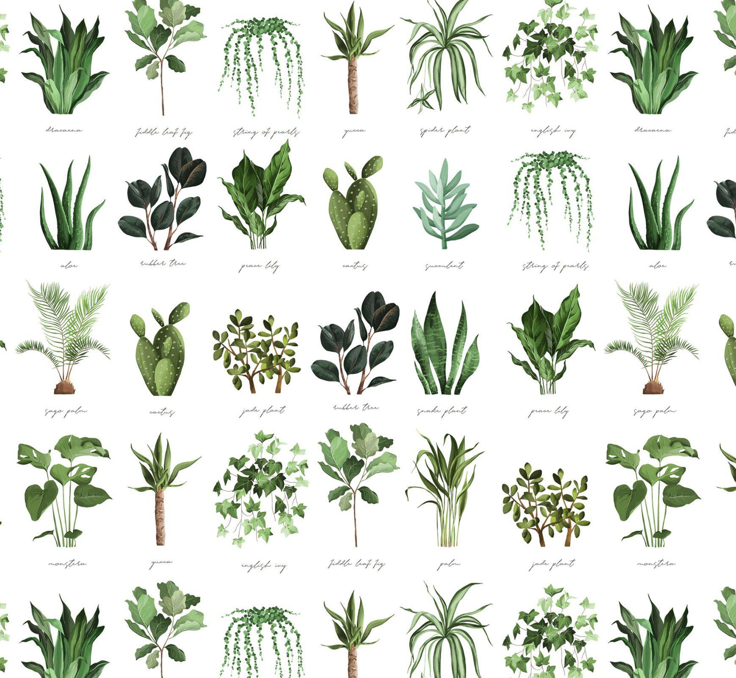 Plant Names Cotton Fabric - 100% Cotton - Continuous cuts DX-4445-4C-1 Plant Names