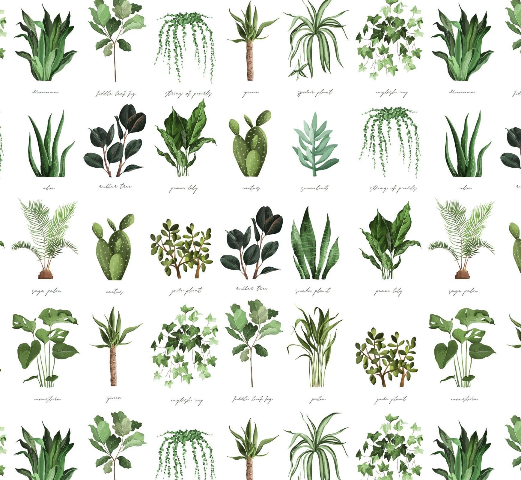 Plant Names Cotton Fabric - 100% Cotton - Continuous cuts DX-4445-4C-1 Plant Names