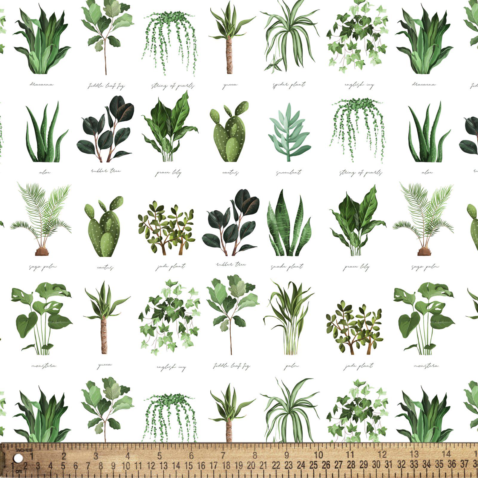Plant Names Cotton Fabric - 100% Cotton - Continuous cuts DX-4445-4C-1 Plant Names