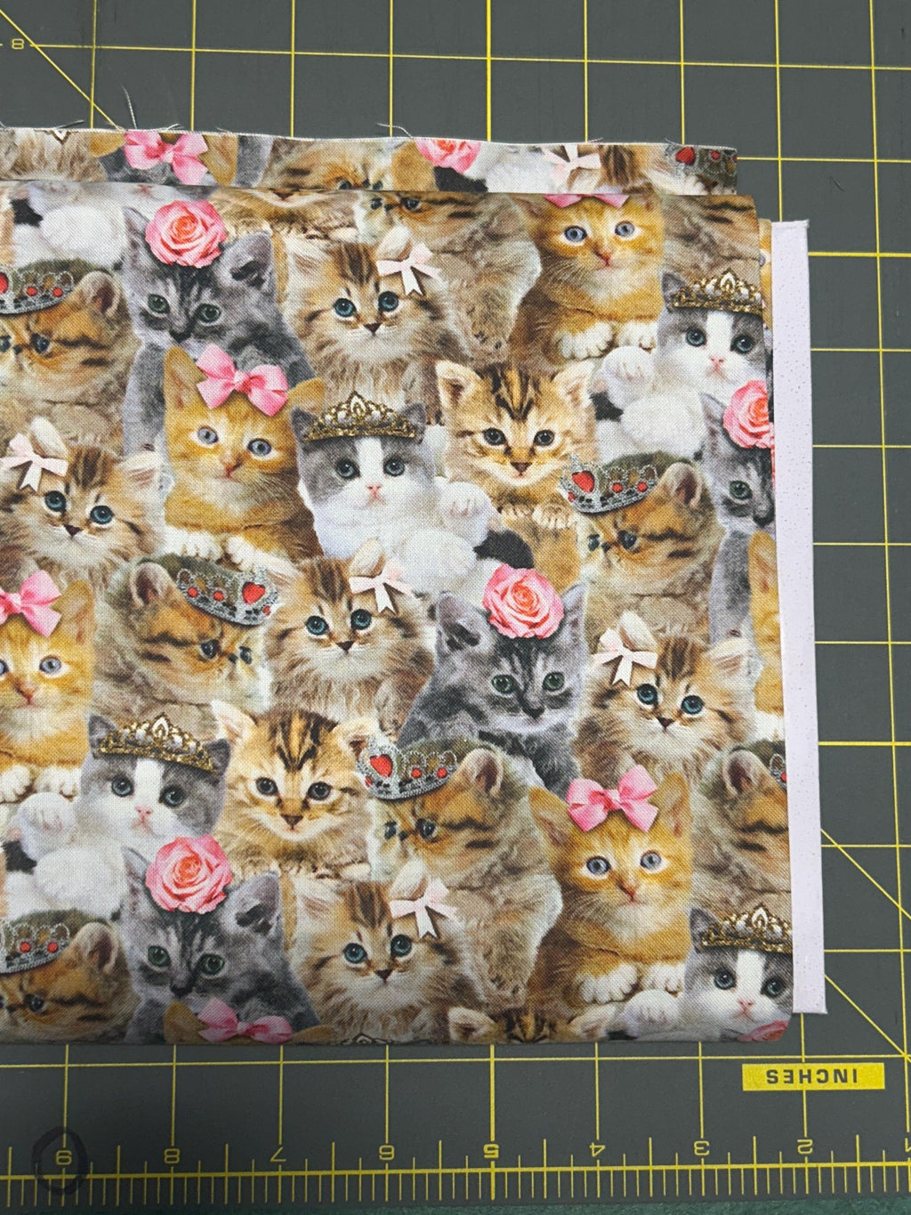 Packed Princess Kitty Cotton Fabric 100% Cotton - Fabric - continuous cuts TT-Cat CD3579 Natural
