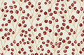 Winter Berries cotton fabric- Drewie Pie Fabrics- continuous cuts - cotton fabric- fast shipping!