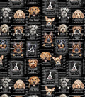 Dog Mugshots Black Cotton Fabric - 100% Cotton- Continuous Cuts Timeless Treasures TT-Gail CD3888