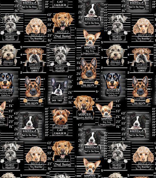 Dog Mugshots Black Cotton Fabric - 100% Cotton- Continuous Cuts Timeless Treasures TT-Gail CD3888