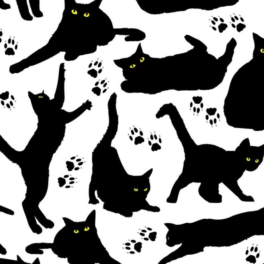 Tossed Black Cats on White Cotton Fabric - 100% Cotton- Continuous Cuts
