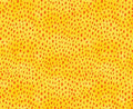 Orange Droplets on Yellow - Pioneer Chicken Coordinate 100% Cotton - Fat Quarters and continuous cuts Blender