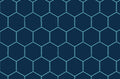 Pioneer Chickens Chicken Wire 100% Cotton Fabric - Continuous Cuts - Drewie Pie Fabrics