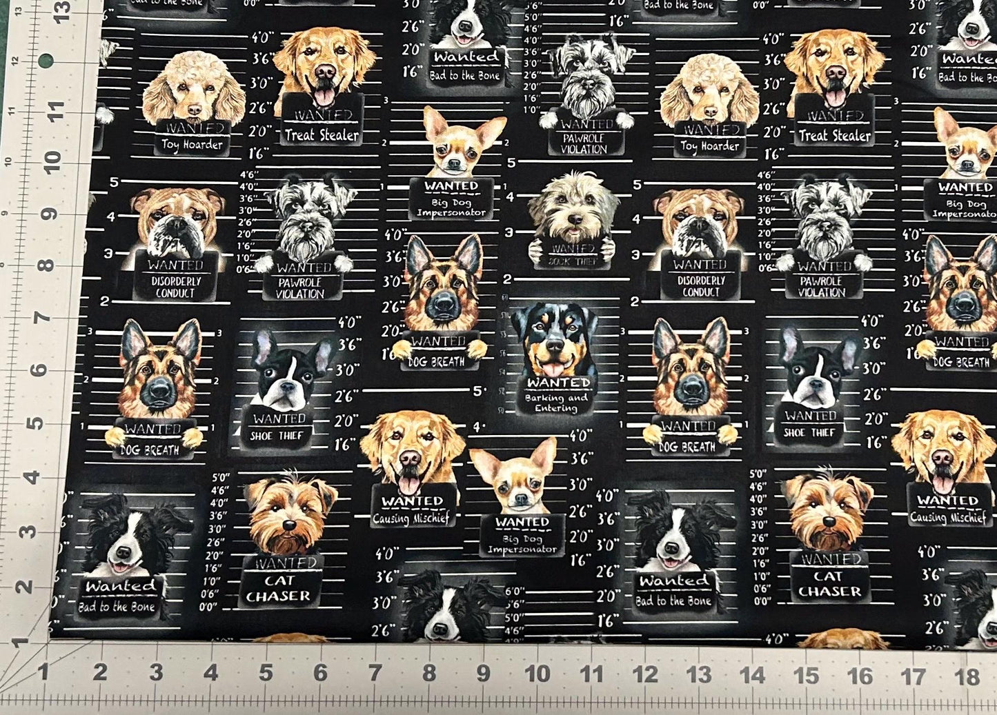 Dog Mugshots Black Cotton Fabric - 100% Cotton- Continuous Cuts Timeless Treasures TT-Gail CD3888