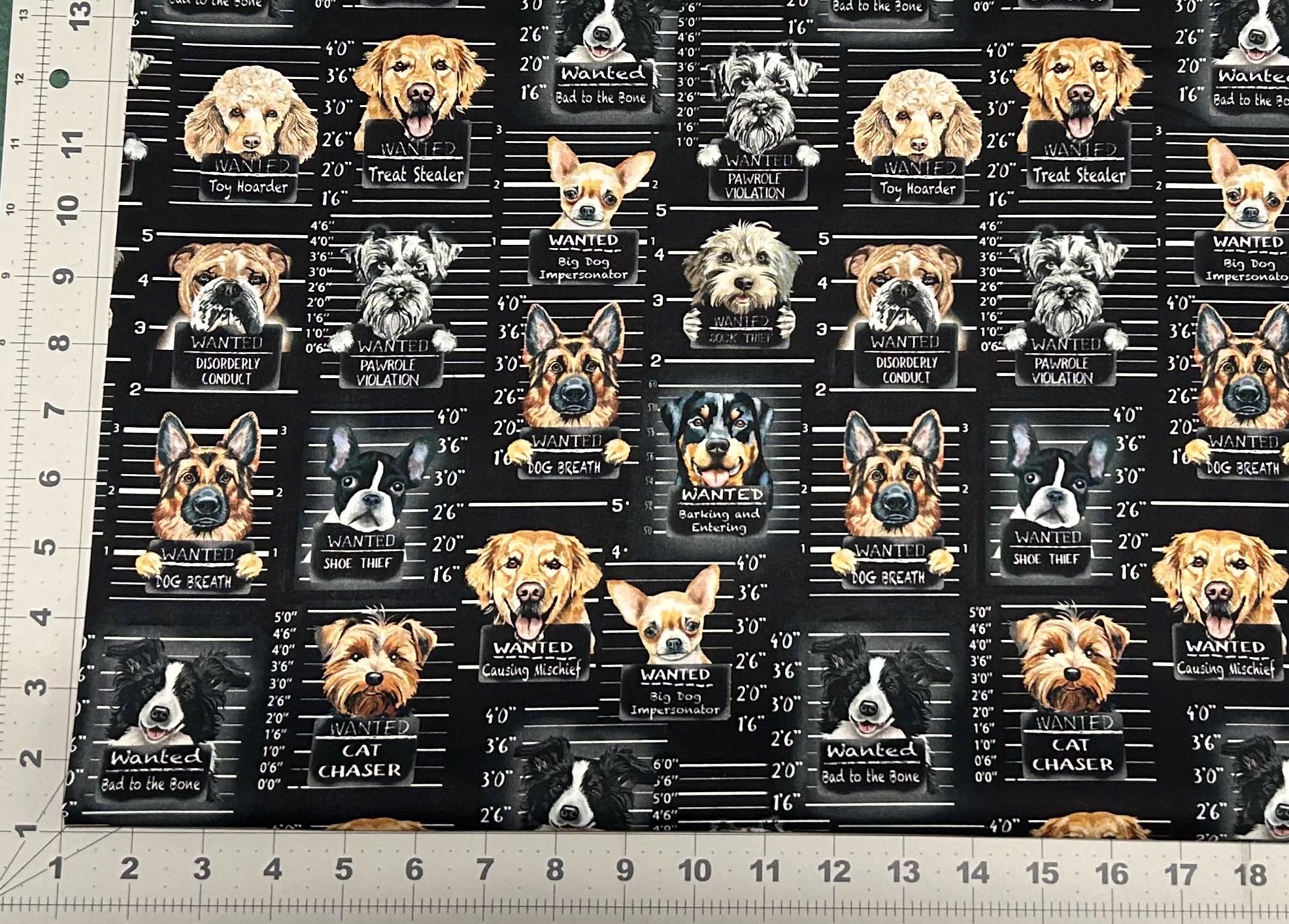 Dog Mugshots Black Cotton Fabric - 100% Cotton- Continuous Cuts Timeless Treasures TT-Gail CD3888
