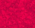 Red Blended Cotton Fabric - 100% Cotton - Blender