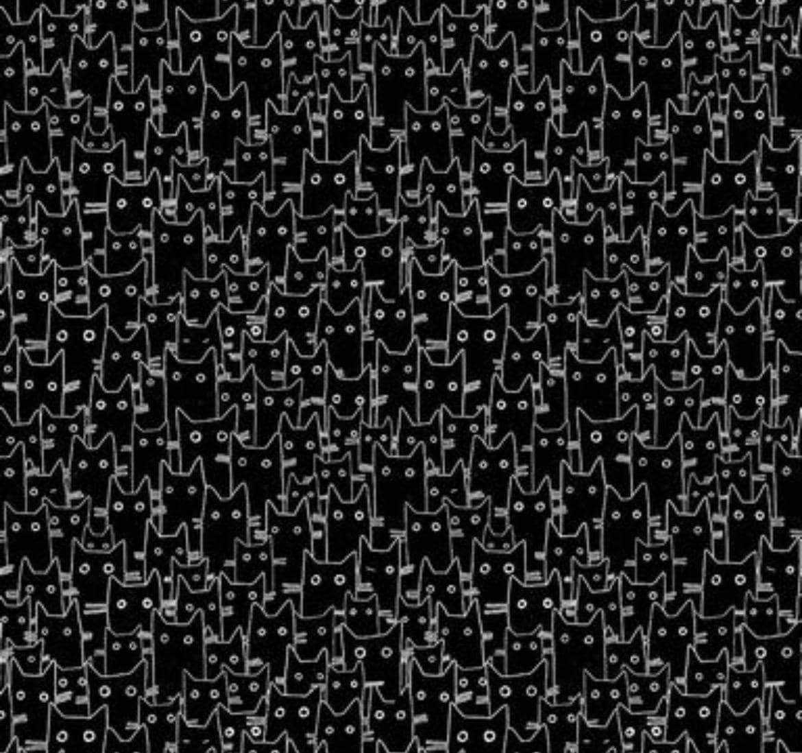 Dear Stella Black and White Cat Cotton Fabric - 100% Cotton- Continuous Cuts -