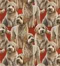 LABRADOODLE 100% Cotton fabric- continuous cuts- David Textiles DX-4295-3C-1 Multi - Labradoodle