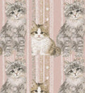 Lace Cats Cotton fabric- Continuous cuts- 100% Cotton- Drewie Pie Fabrics